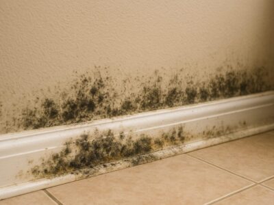 mold water damaged baseboard